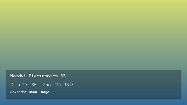 Mandvi Electronics 33