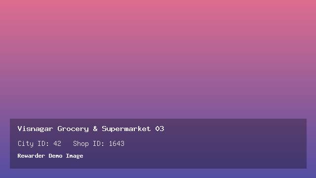 Visnagar Grocery & Supermarket 03