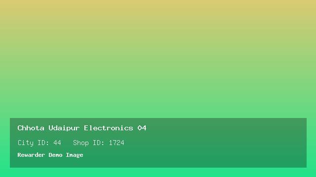 Chhota Udaipur Electronics 04