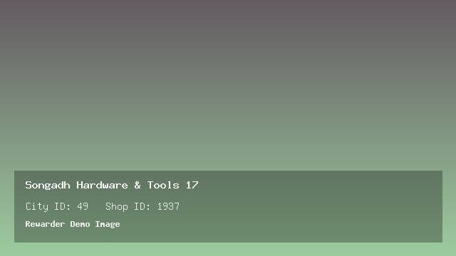 Songadh Hardware & Tools 17