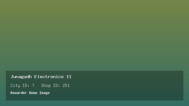 Junagadh Electronics 11