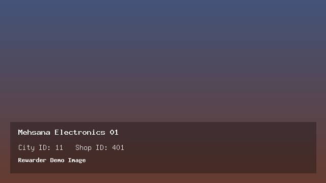 Mehsana Electronics 01